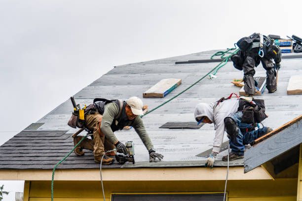 Professional Gutter Installation technician working in Versailles, MO